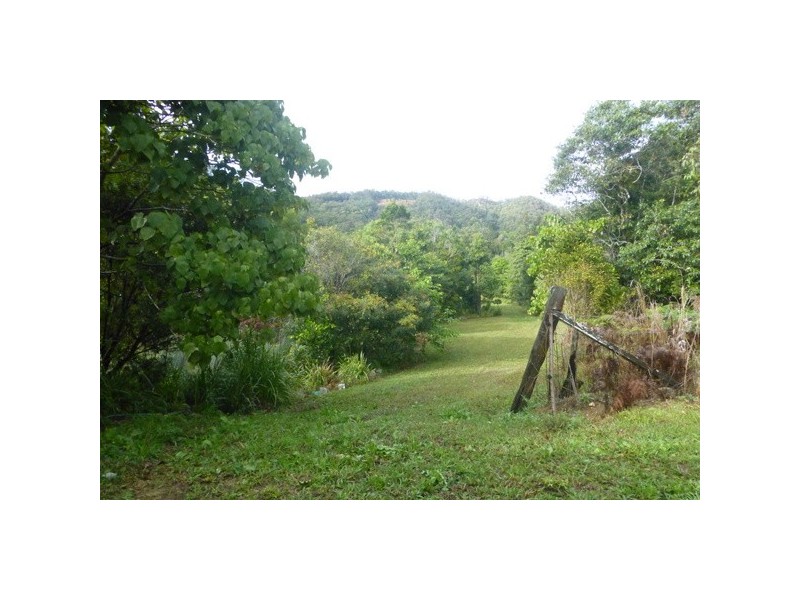 Crystal Creek NSW 2484