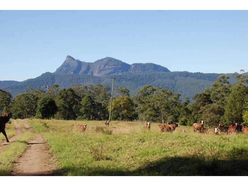 Tyalgum NSW 2484