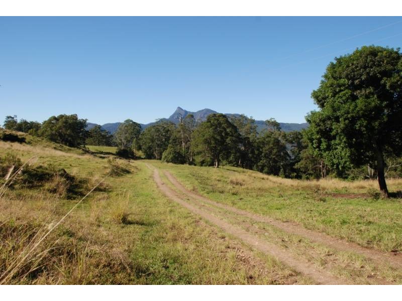 Tyalgum NSW 2484