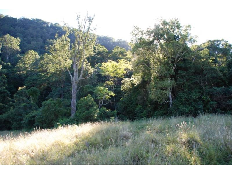 Tyalgum NSW 2484