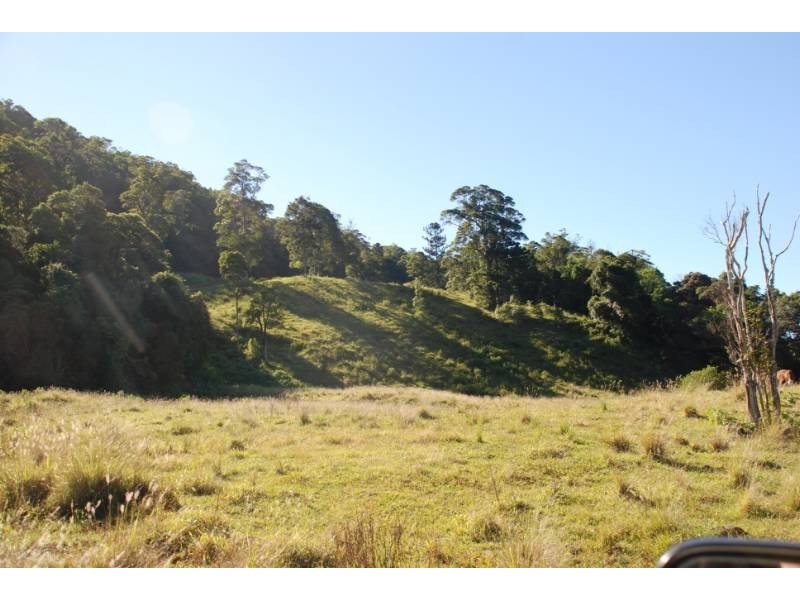 Tyalgum NSW 2484