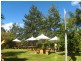 Crystal Creek NSW 2484