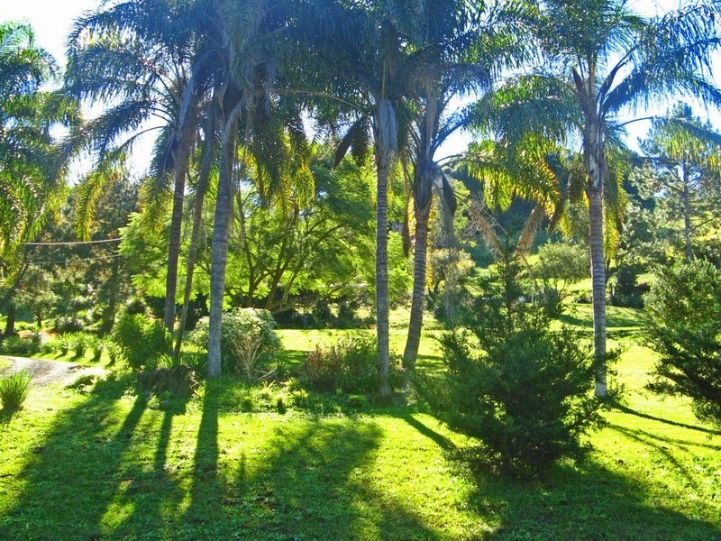 97 Glenock Road, Uki NSW 2484