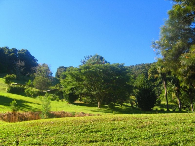 97 Glenock Road, Uki NSW 2484