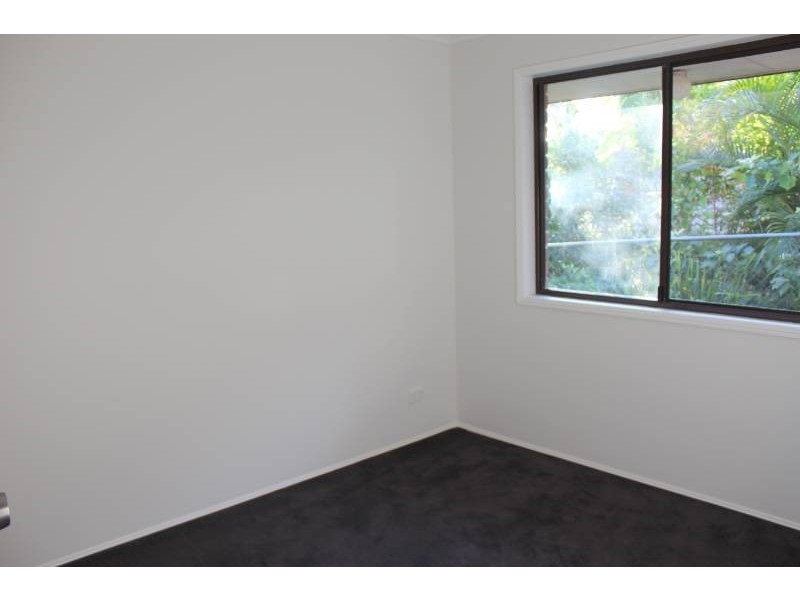 Murwillumbah NSW 2484