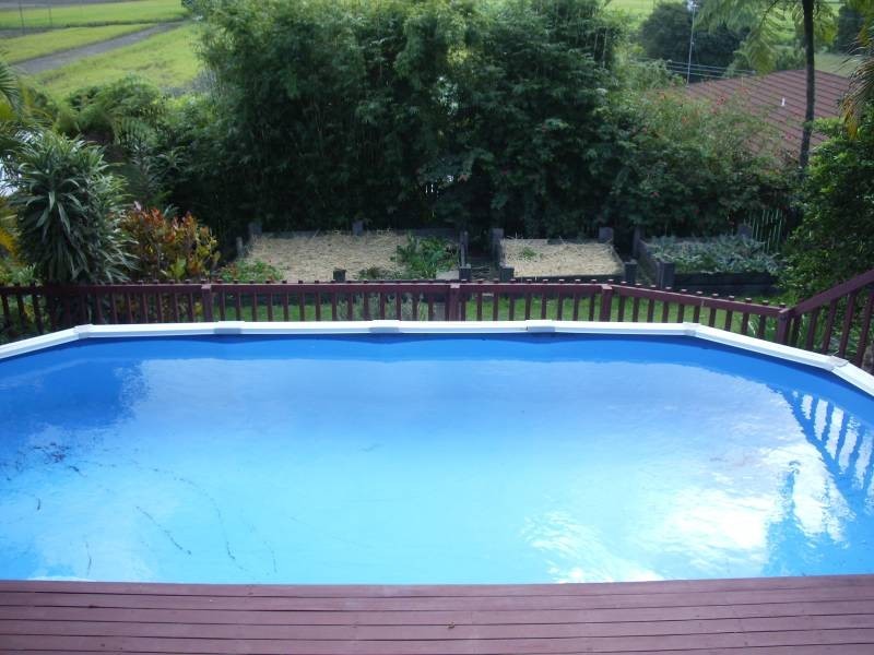 House 55A Ewing Street, Murwillumbah NSW 2484