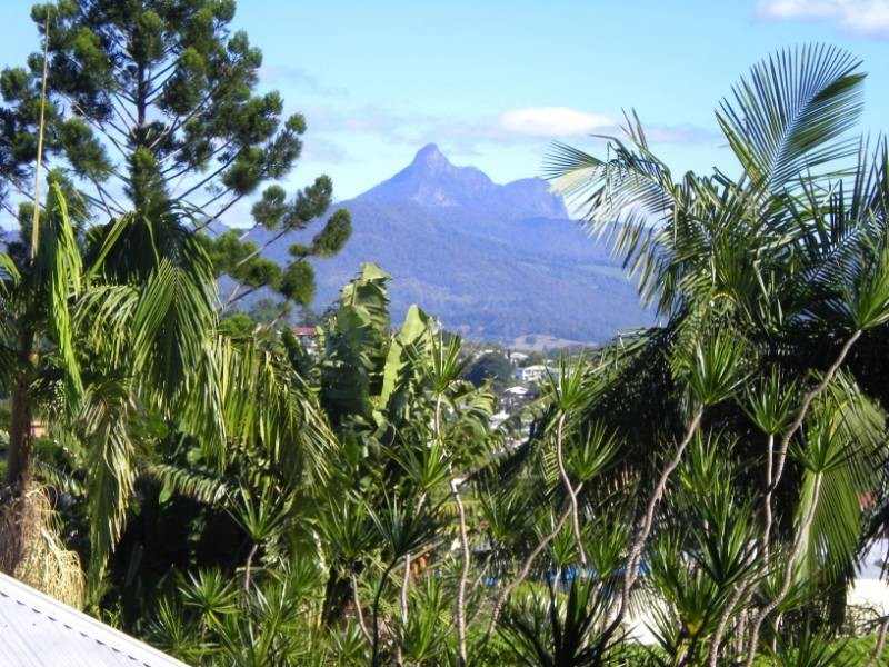 2 Bent Street, Murwillumbah NSW 2484