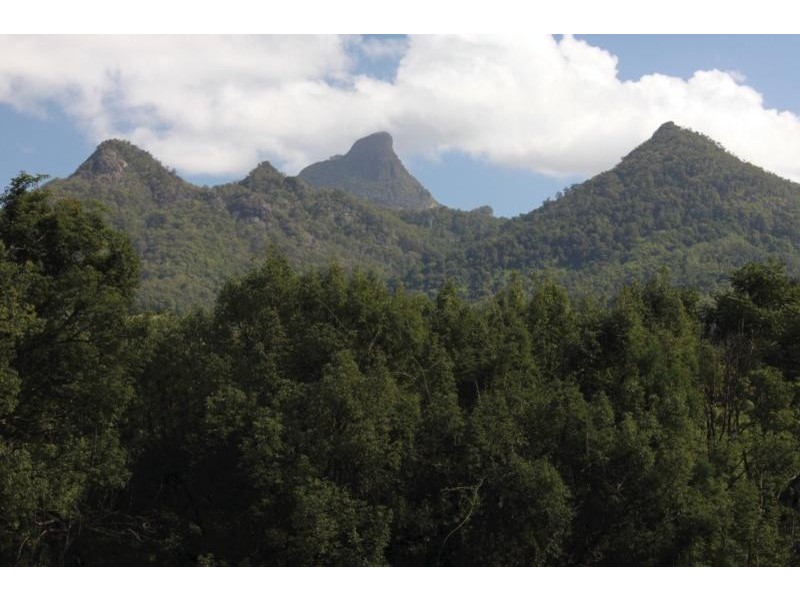 55 Rowlands Creek Road, Uki NSW 2484