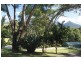 55 Rowlands Creek Road, Uki NSW 2484