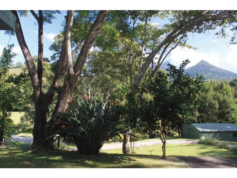 55 Rowlands Creek Road, Uki NSW 2484