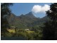 55 Rowlands Creek Road, Uki NSW 2484