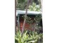 55 Rowlands Creek Road, Uki NSW 2484