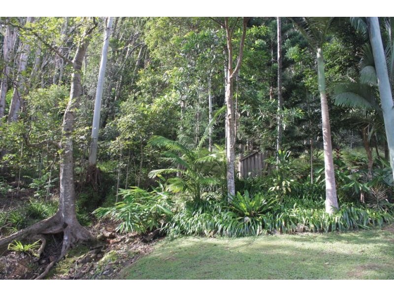 55 Rowlands Creek Road, Uki NSW 2484