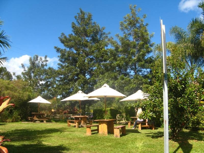 Crystal Creek NSW 2484