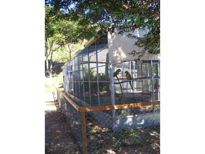Crystal Creek NSW 2484