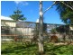 Crystal Creek NSW 2484