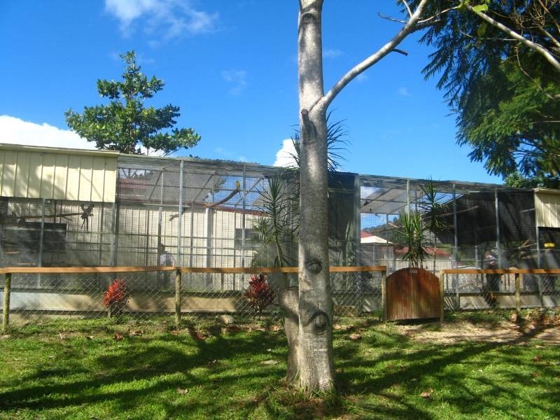 Crystal Creek NSW 2484
