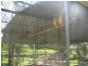 Crystal Creek NSW 2484