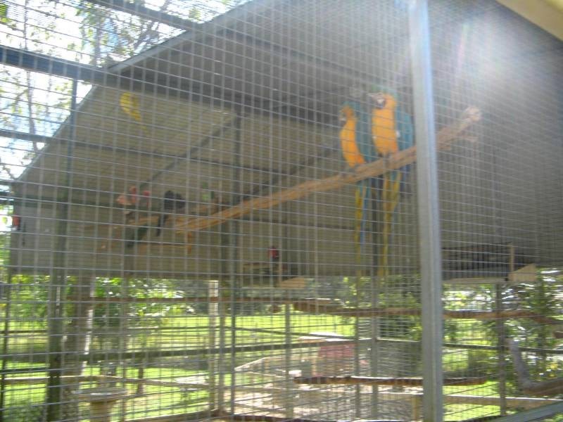 Crystal Creek NSW 2484