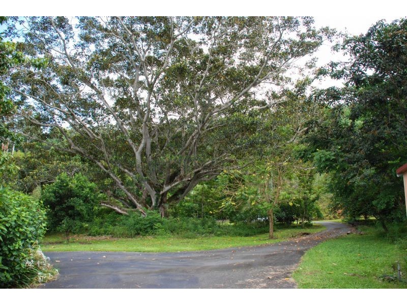 114 Braeside Drive, Uki NSW 2484