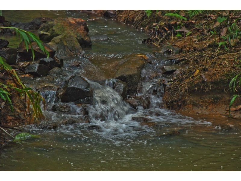 114 Braeside Drive, Uki NSW 2484