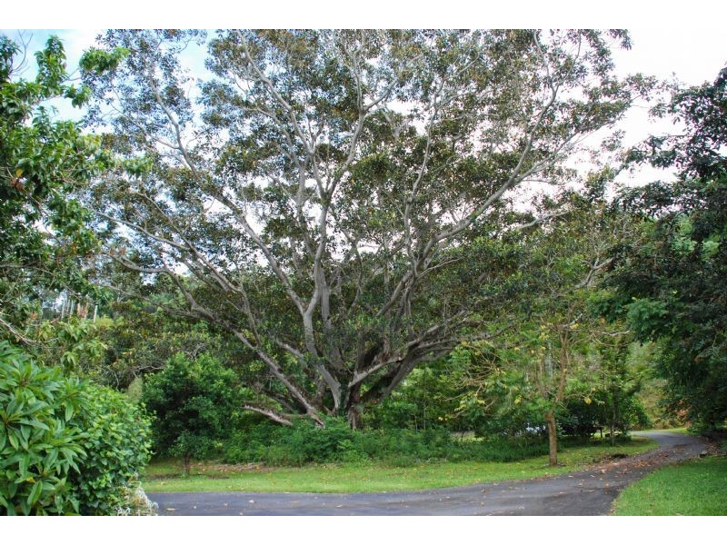 114 Braeside Drive, Uki NSW 2484