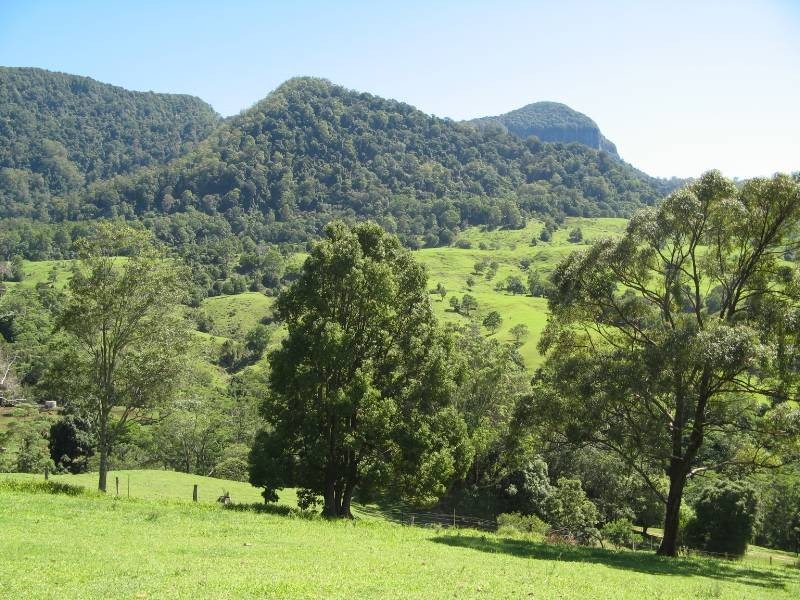 Chillingham NSW 2484
