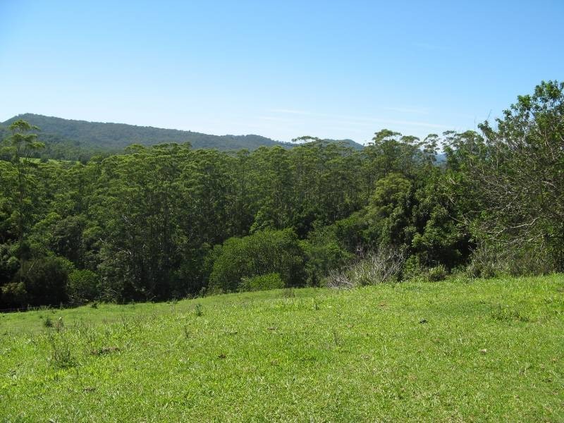 Chillingham NSW 2484