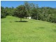 Chillingham NSW 2484