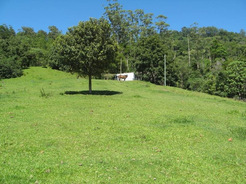 Chillingham NSW 2484