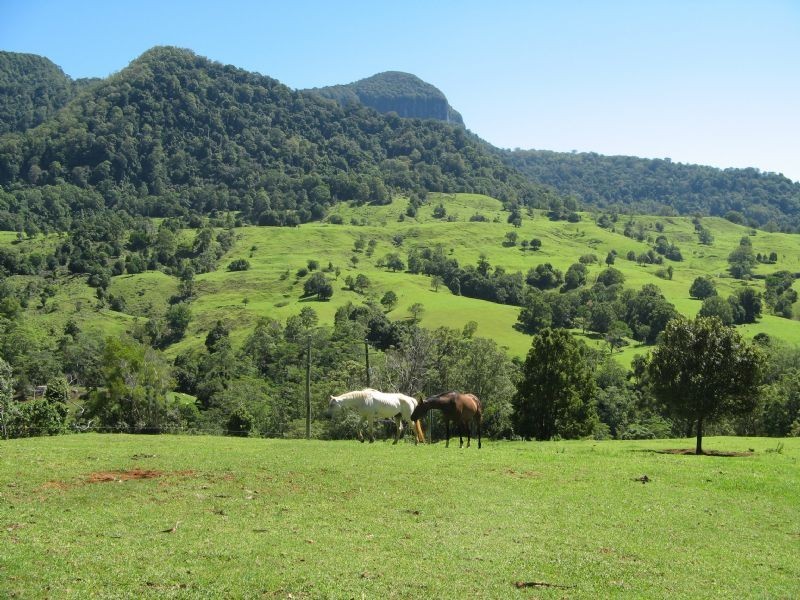 Chillingham NSW 2484