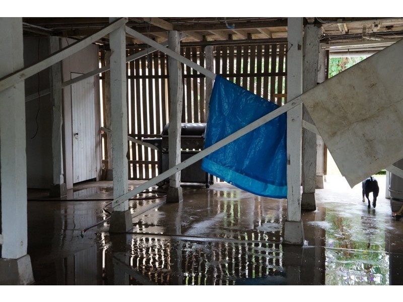 Murwillumbah NSW 2484