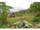 Eungella NSW 2484