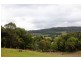 Tomewin NSW 2484