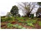 Tomewin NSW 2484