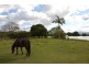 71 Tweed Valley Way, Murwillumbah NSW 2484