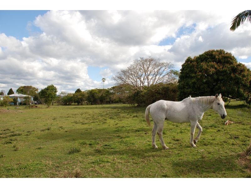 73 Tweed Valley Way, Murwillumbah NSW 2484