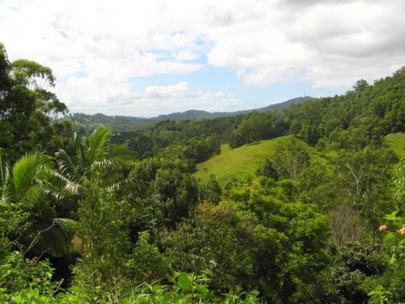 Stokers Siding NSW 2484