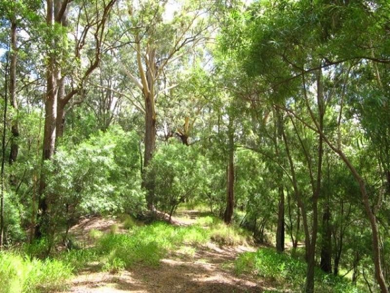 Stokers Siding NSW 2484