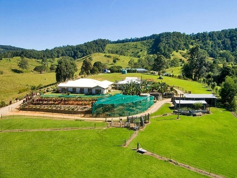 Upper Crystal Creek NSW 2484