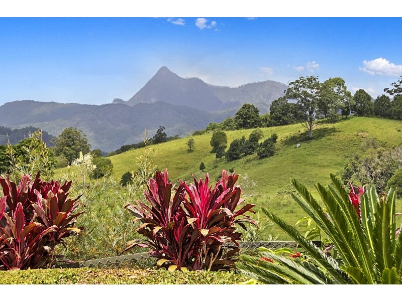 Upper Crystal Creek NSW 2484