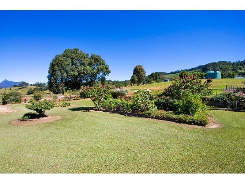 Upper Crystal Creek NSW 2484