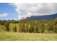 Tyalgum NSW 2484