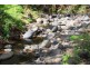 Tyalgum NSW 2484