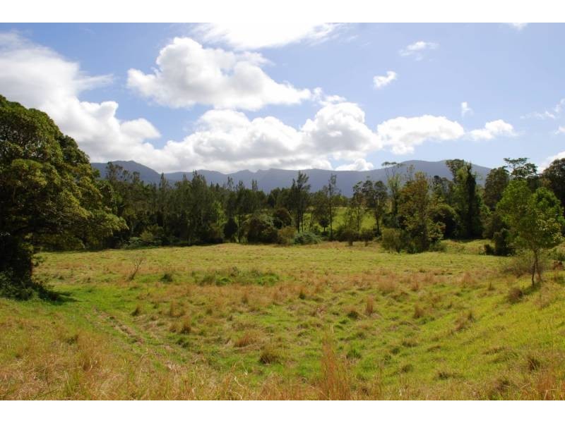 Tyalgum NSW 2484