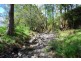 Tyalgum NSW 2484