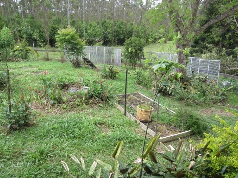 545  Brays Creek Road, Tyalgum NSW 2484