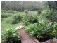 545  Brays Creek Road, Tyalgum NSW 2484