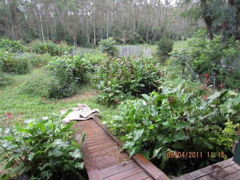 545  Brays Creek Road, Tyalgum NSW 2484