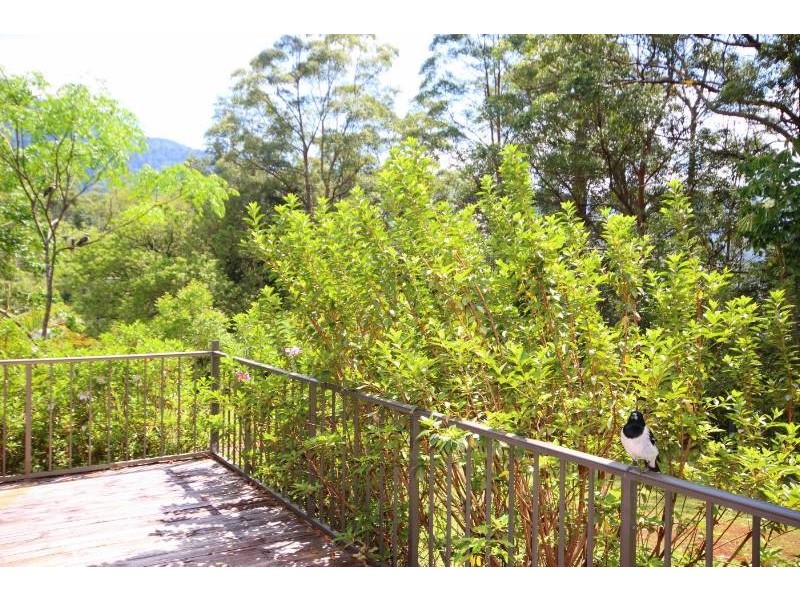 Hopkins Creek NSW 2484